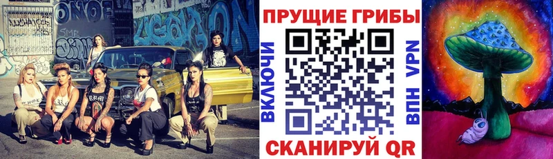 Псилоцибиновые грибы MAGIC MUSHROOMS  Купить  Липецк 